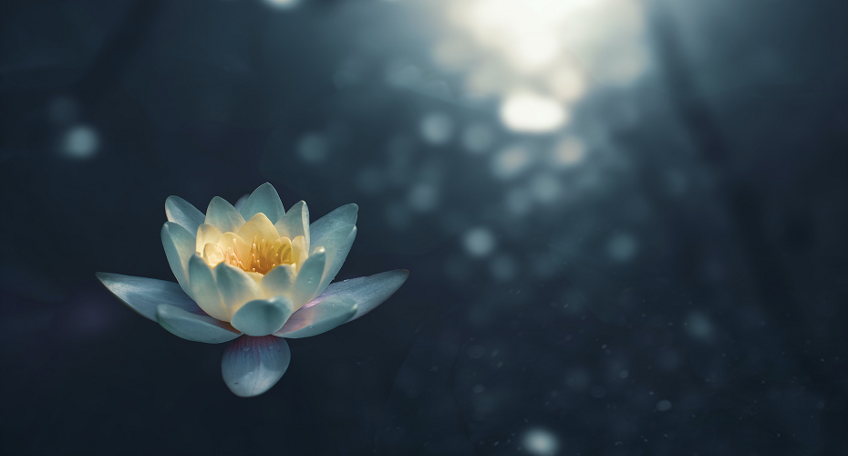 Falmouth Meditation 930x500
